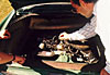 Engine inspection